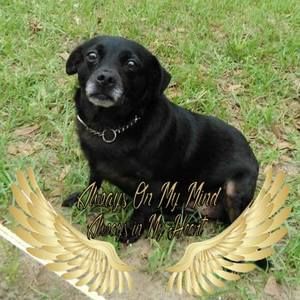 Meet your Posher, Bonny